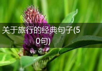 关于旅行的经典句子(50句)