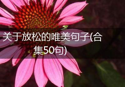 关于放松的唯美句子(合集50句)