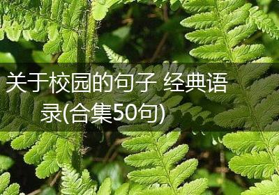 关于校园的句子 经典语录(合集50句)