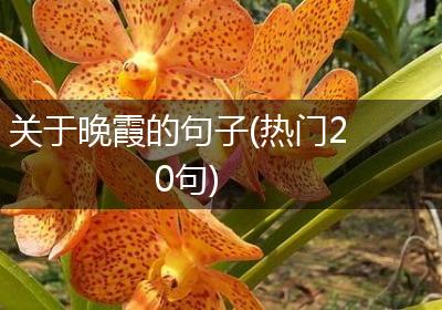 关于晚霞的句子(热门20句)