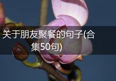 关于朋友聚餐的句子(合集50句)