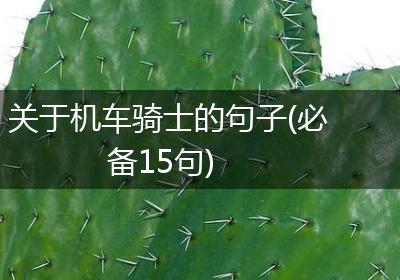 关于机车骑士的句子(必备15句)