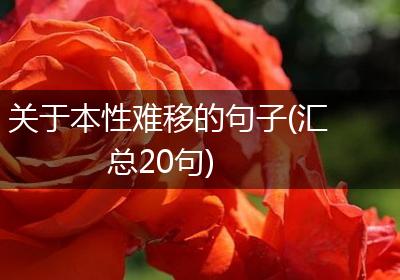 关于本性难移的句子(汇总20句)