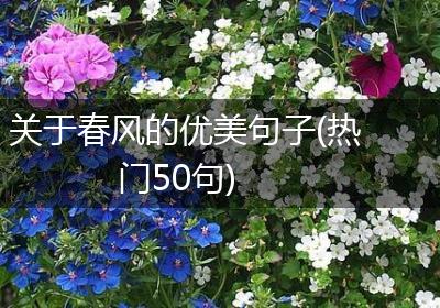 关于春风的优美句子(热门50句)