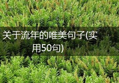 关于流年的唯美句子(实用50句)