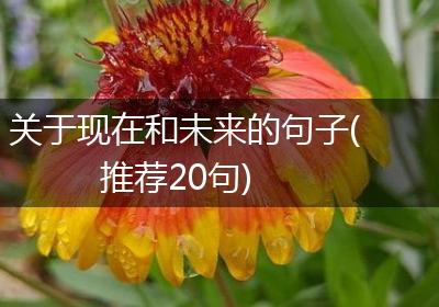 关于现在和未来的句子(推荐20句)
