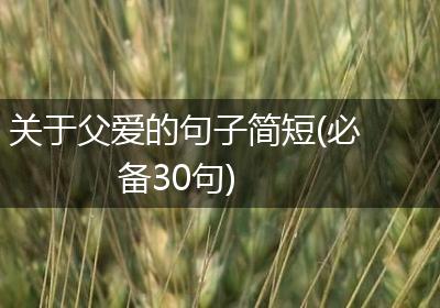 关于父爱的句子简短(必备30句)