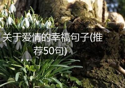 关于爱情的幸福句子(推荐50句)