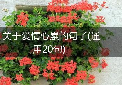 关于爱情心累的句子(通用20句)