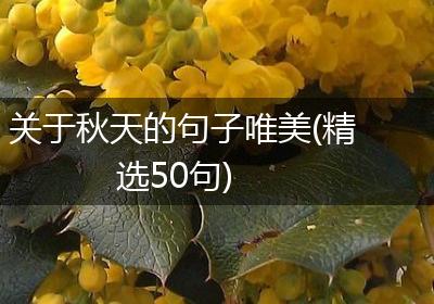 关于秋天的句子唯美(精选50句)