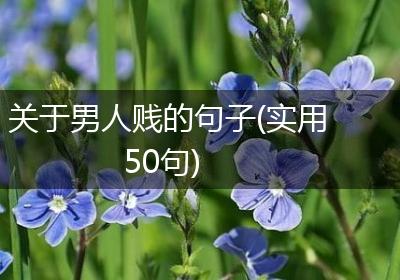关于男人贱的句子(实用50句)