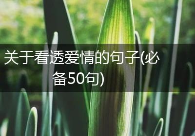关于看透爱情的句子(必备50句)