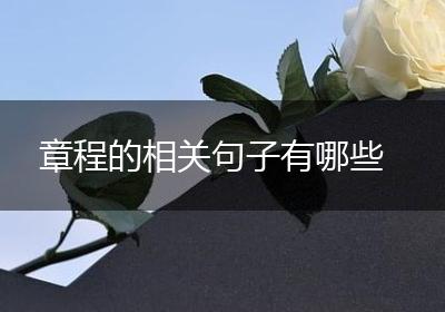 章程的相关句子有哪些