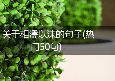 关于相濡以沫的句子(热门50句)