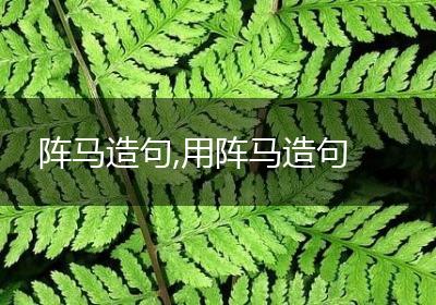 阵马造句,用阵马造句