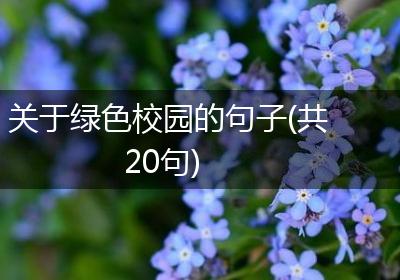 关于绿色校园的句子(共20句)