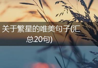 关于繁星的唯美句子(汇总20句)