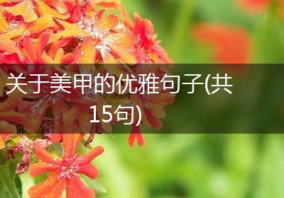 关于美甲的优雅句子(共15句)