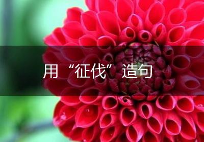用“征伐”造句