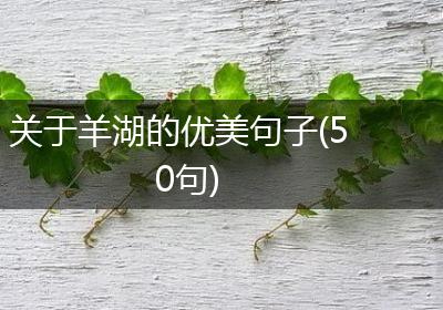 关于羊湖的优美句子(50句)