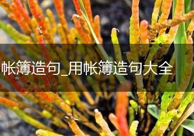 帐簿造句_用帐簿造句大全