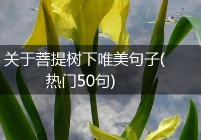 关于菩提树下唯美句子(热门50句)