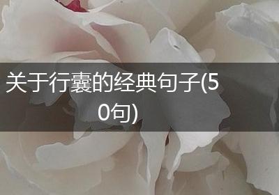 关于行囊的经典句子(50句)