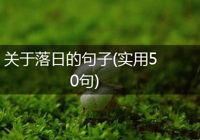 关于落日的句子(实用50句)