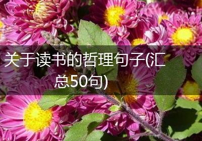 关于读书的哲理句子(汇总50句)