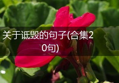 关于诋毁的句子(合集20句)