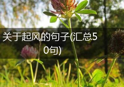 关于起风的句子(汇总50句)