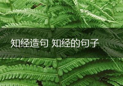 知经造句 知经的句子