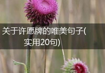 关于许愿牌的唯美句子(实用20句)