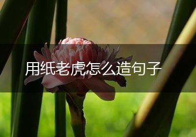 用纸老虎怎么造句子