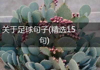 关于足球句子(精选15句)