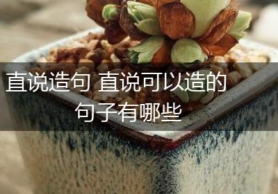 直说造句 直说可以造的句子有哪些