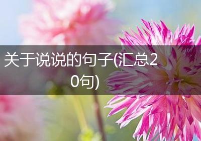 关于说说的句子(汇总20句)