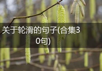 关于轮滑的句子(合集30句)