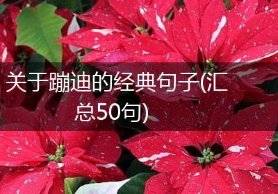 关于蹦迪的经典句子(汇总50句)