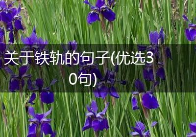 关于铁轨的句子(优选30句)