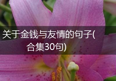 关于金钱与友情的句子(合集30句)