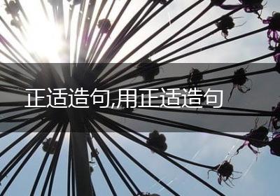 正适造句,用正适造句
