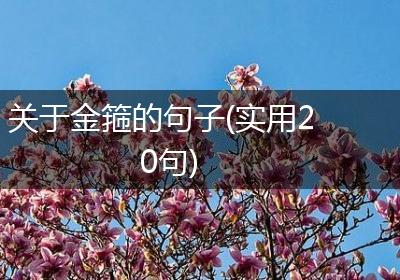 关于金箍的句子(实用20句)