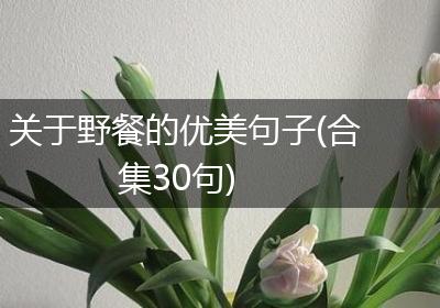 关于野餐的优美句子(合集30句)