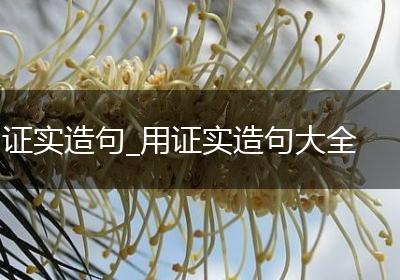 证实造句_用证实造句大全