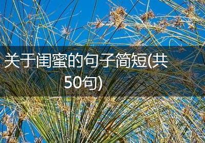 关于闺蜜的句子简短(共50句)