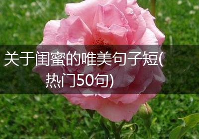 关于闺蜜的唯美句子短(热门50句)