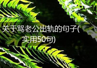 关于骂老公出轨的句子(实用50句)