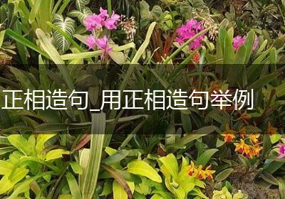 正相造句_用正相造句举例