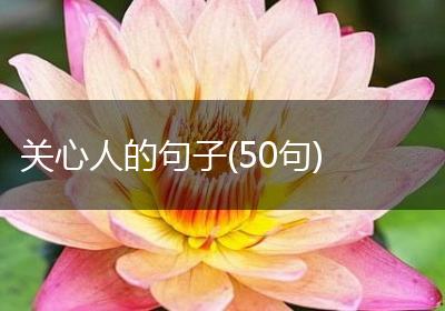 关心人的句子(50句)